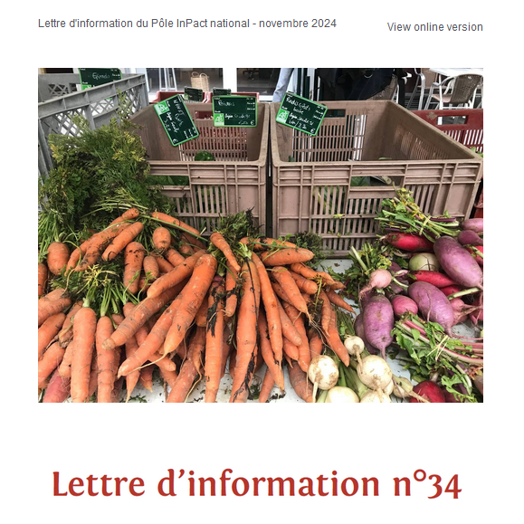 Lettre d'information n°34, novembre 2024